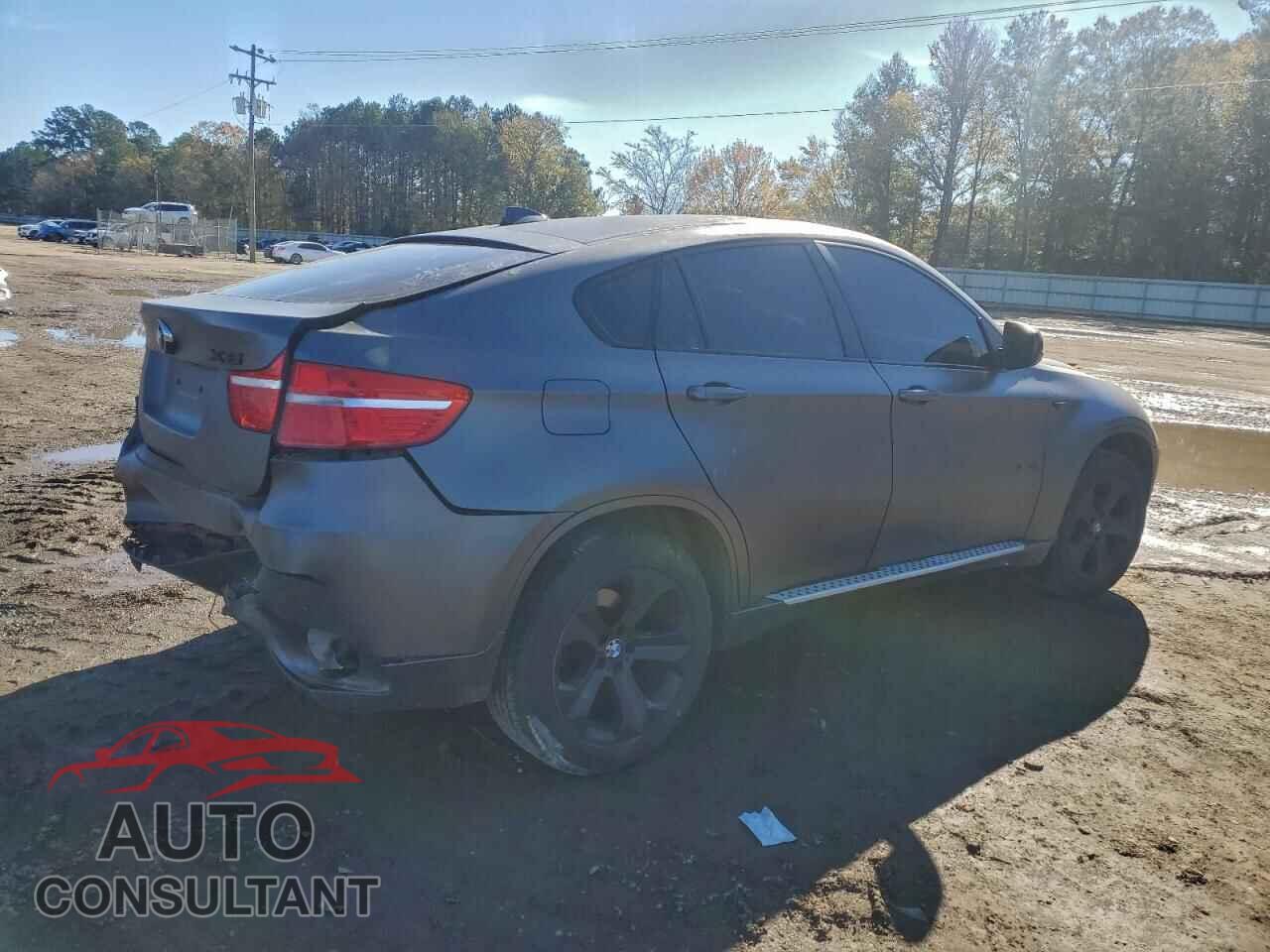 BMW X6 2011 - 5UXFG2C54BLX08020