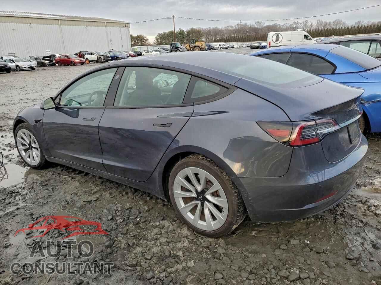 TESLA MODEL 3 2021 - 5YJ3E1EA1MF021064