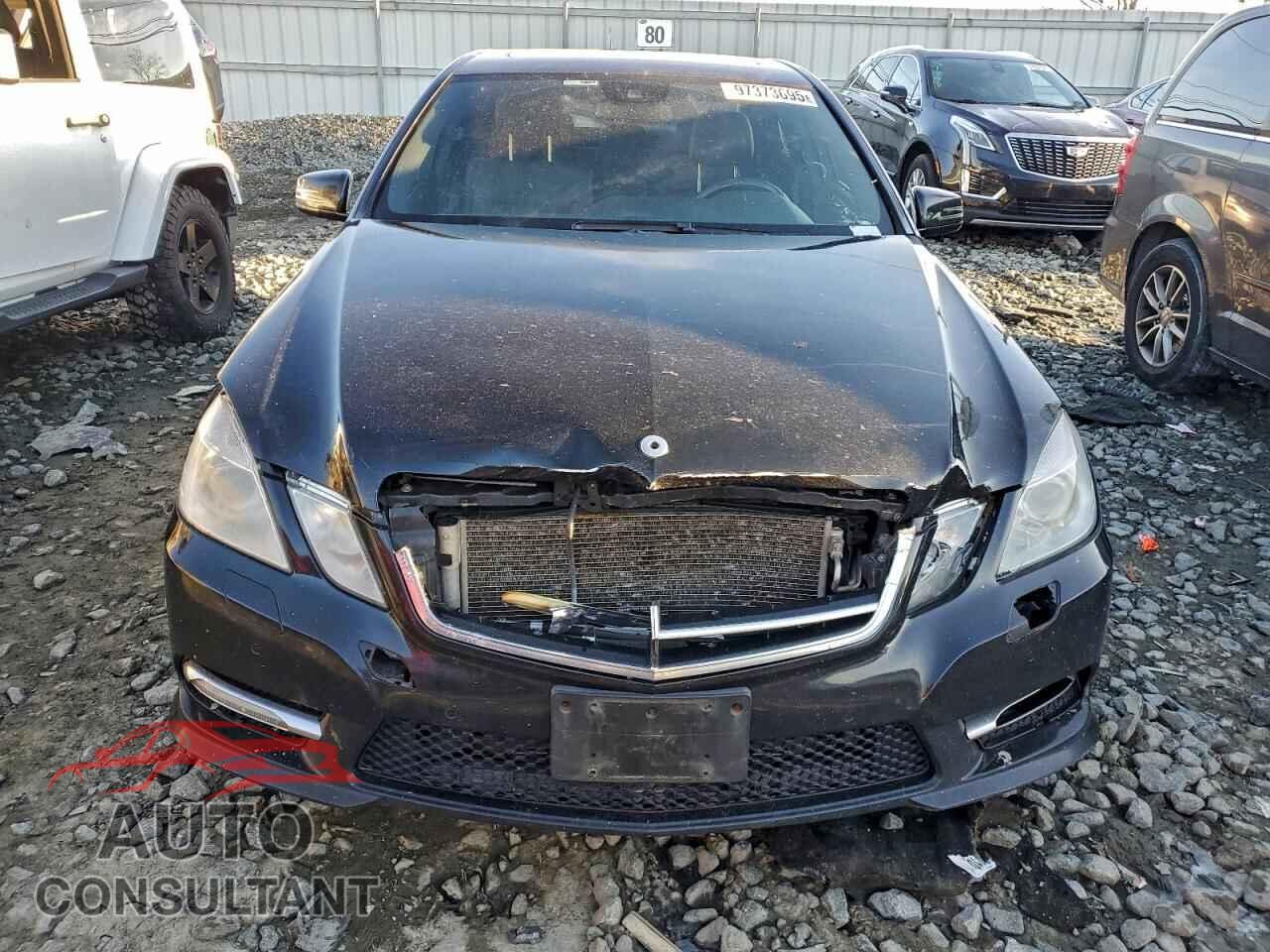 MERCEDES-BENZ E-CLASS 2013 - WDDHF9BB3DA742046