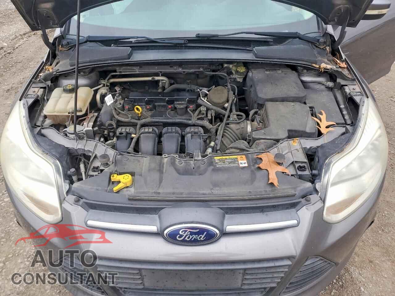 FORD FOCUS 2014 - 1FADP3F26EL203428