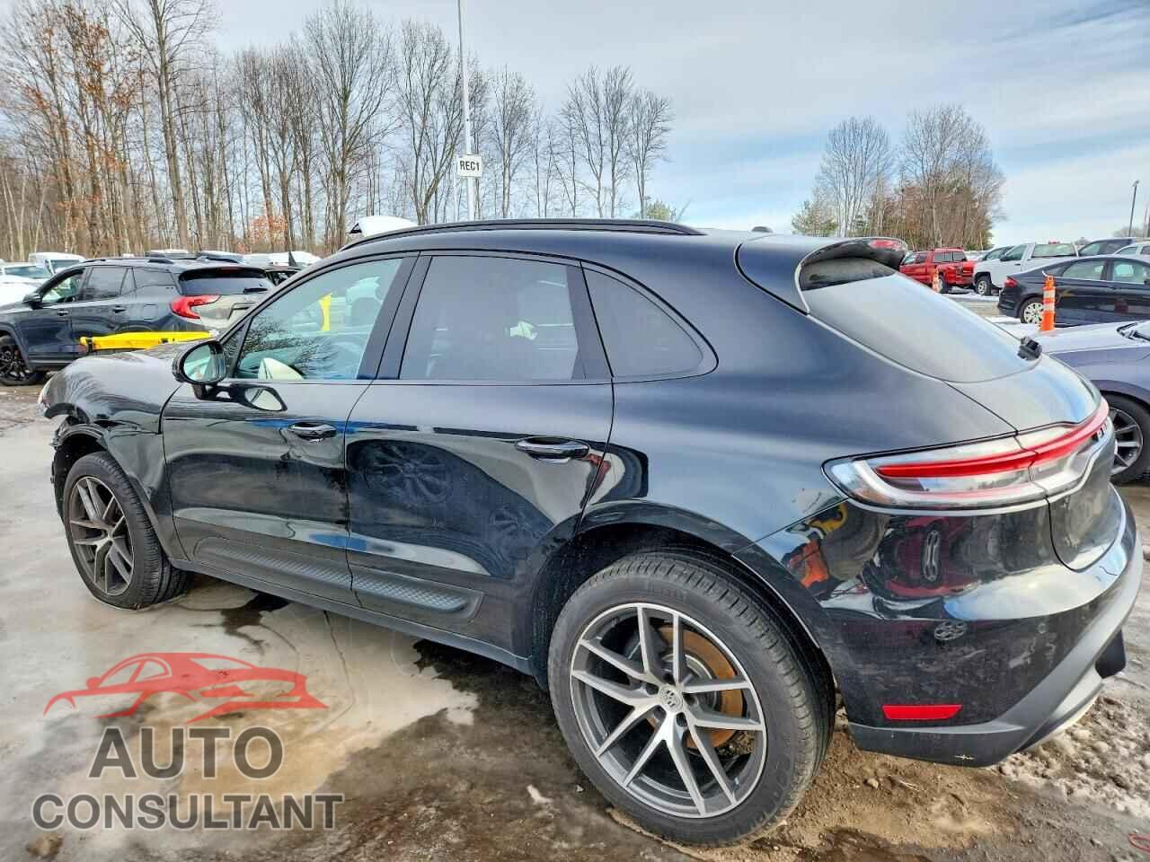 PORSCHE MACAN BASE 2025 - WP1AA2A59SLB07877