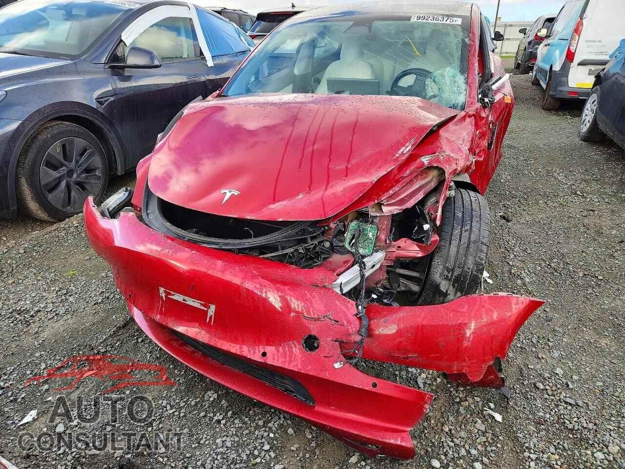 TESLA MODEL 3 2019 - 5YJ3E1EA5KF402767