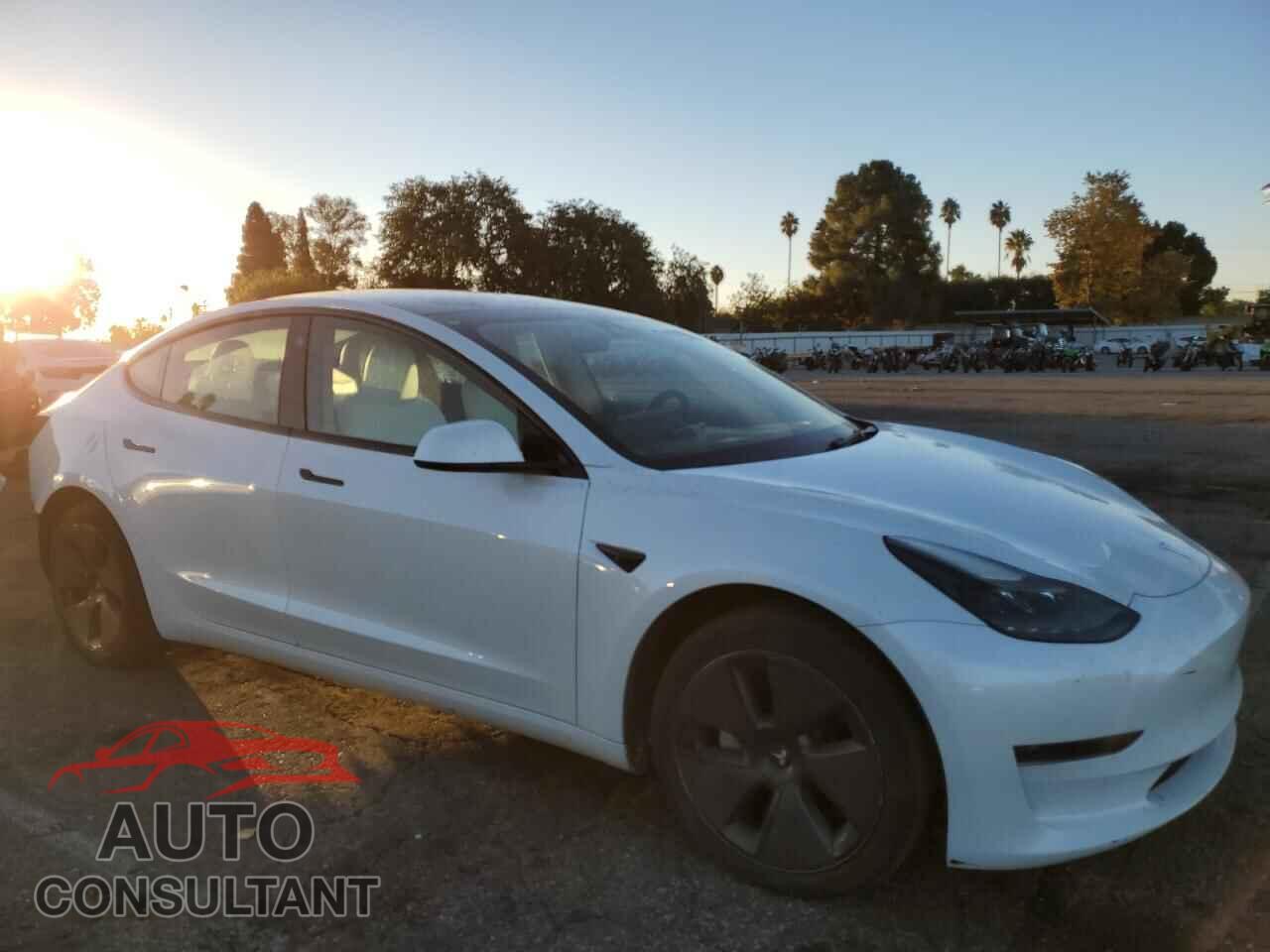 TESLA MODEL 3 2023 - 5YJ3E1EA3PF428985