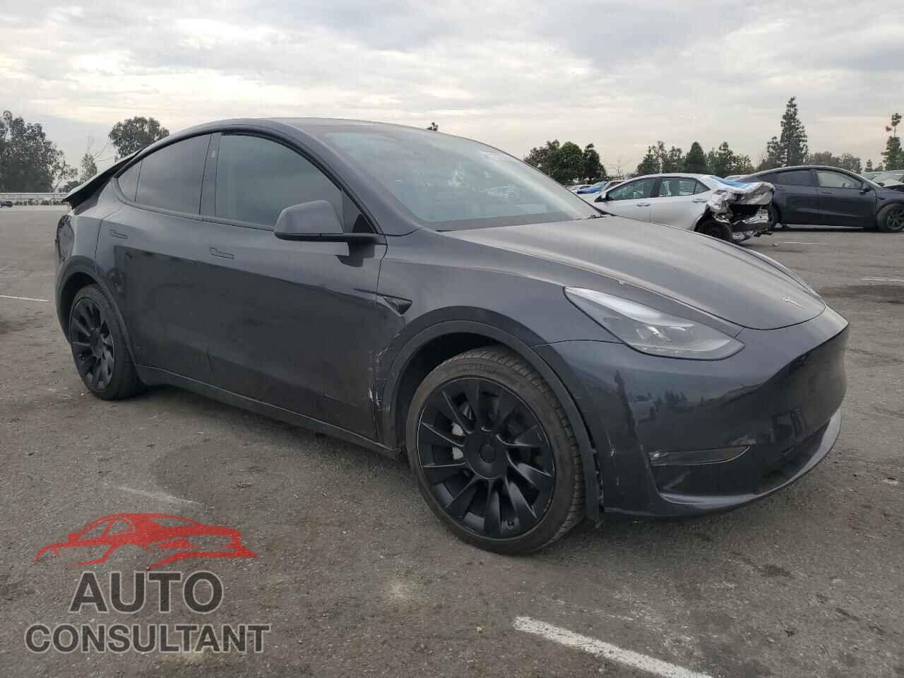 TESLA MODEL Y 2024 - 7SAYGDEE2RF164068