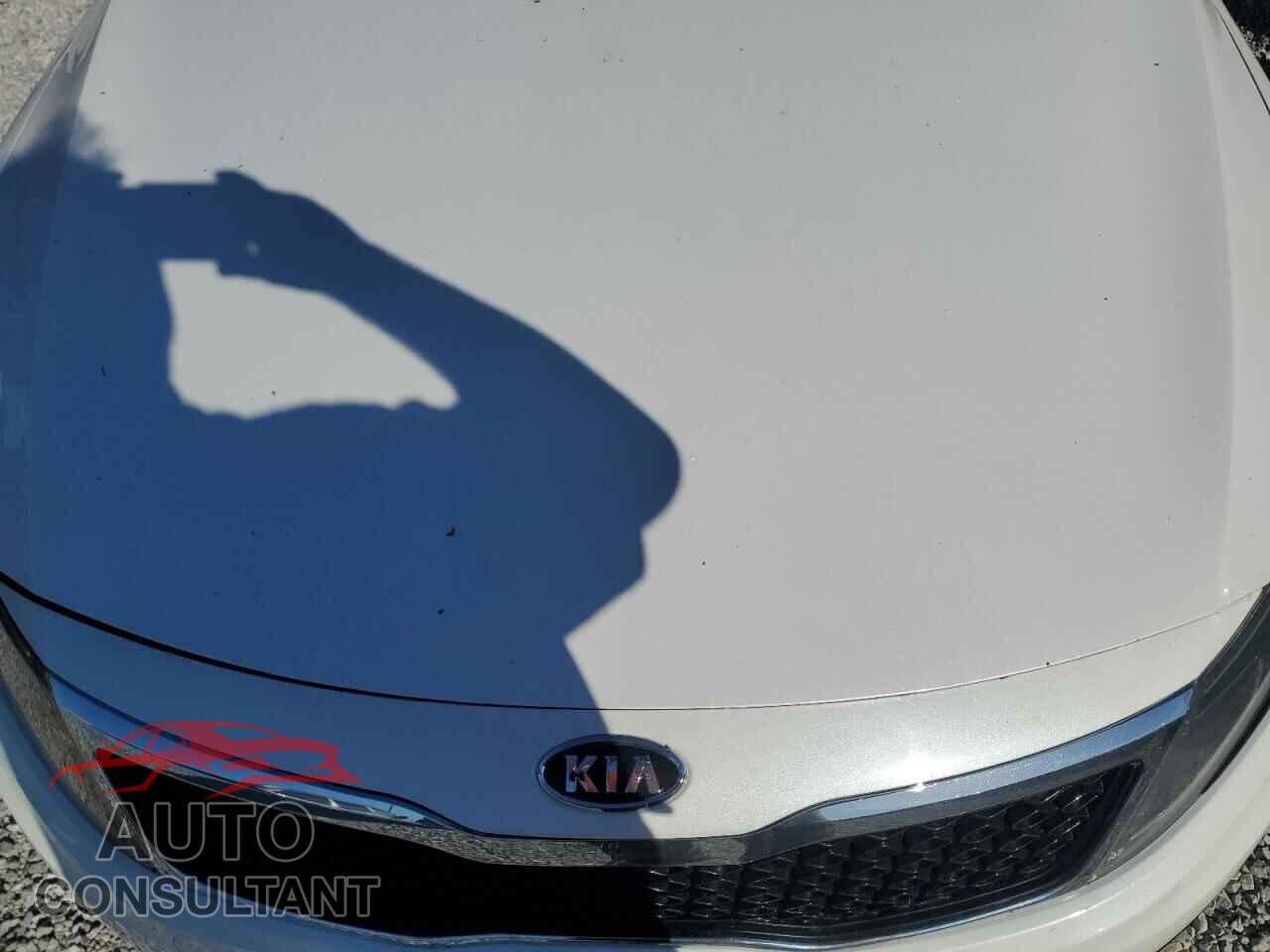 KIA OPTIMA 2011 - KNAGM4A76B5121317