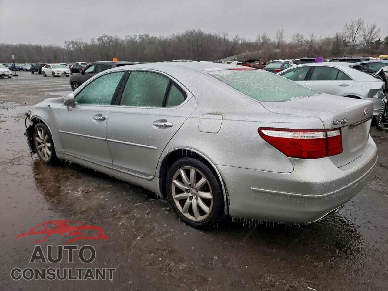 LEXUS LS460 2009 - JTHCL46F095003308
