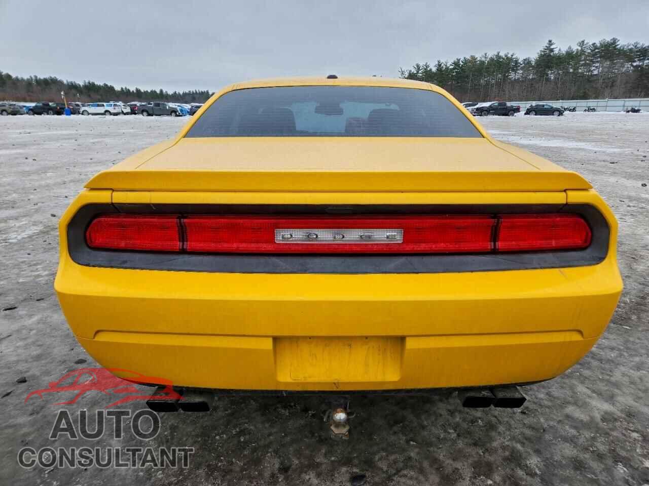 DODGE CHALLENGER 2012 - 2C3CDYBT7CH315941