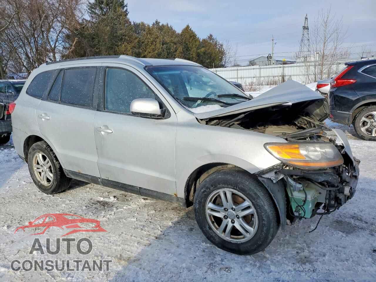 HYUNDAI SANTA FE 2010 - 5NMSGDAG2AH352702
