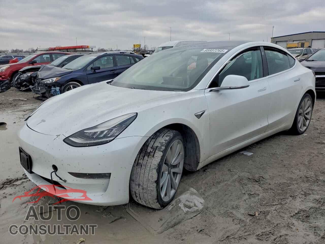TESLA MODEL 3 2019 - 5YJ3E1EB3KF442421
