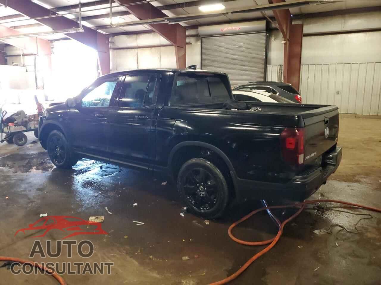 HONDA RIDGELINE 2019 - 5FPYK3F82KB502385