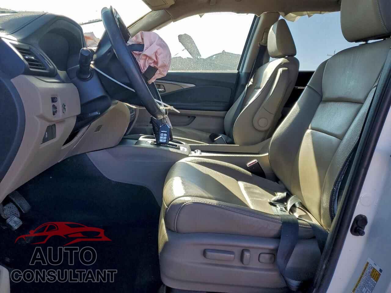 HONDA PILOT 2019 - 5FNYF5H4XKB013302