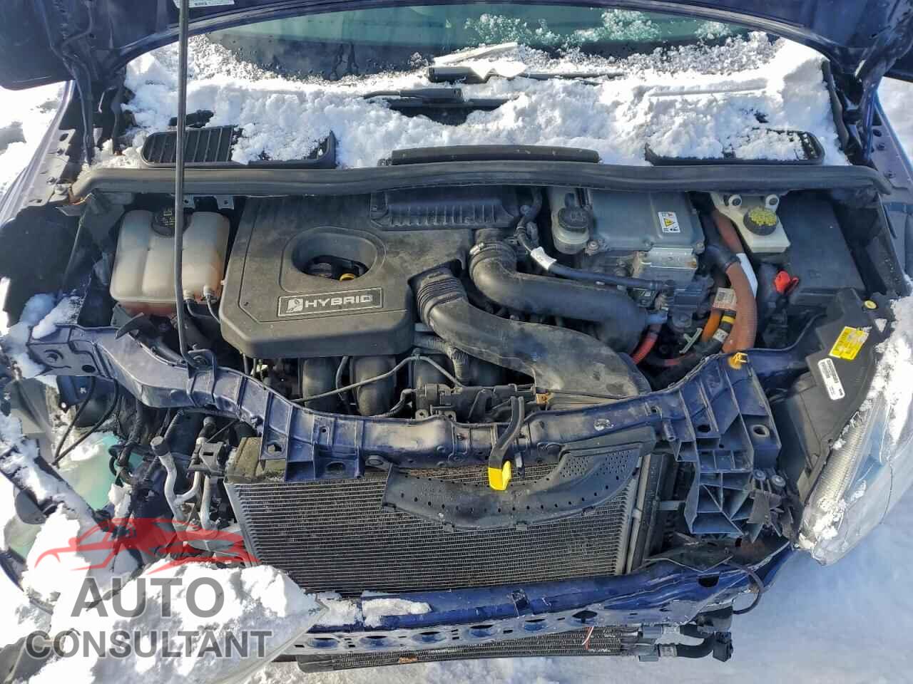FORD CMAX 2016 - 1FADP5BUXGL104424