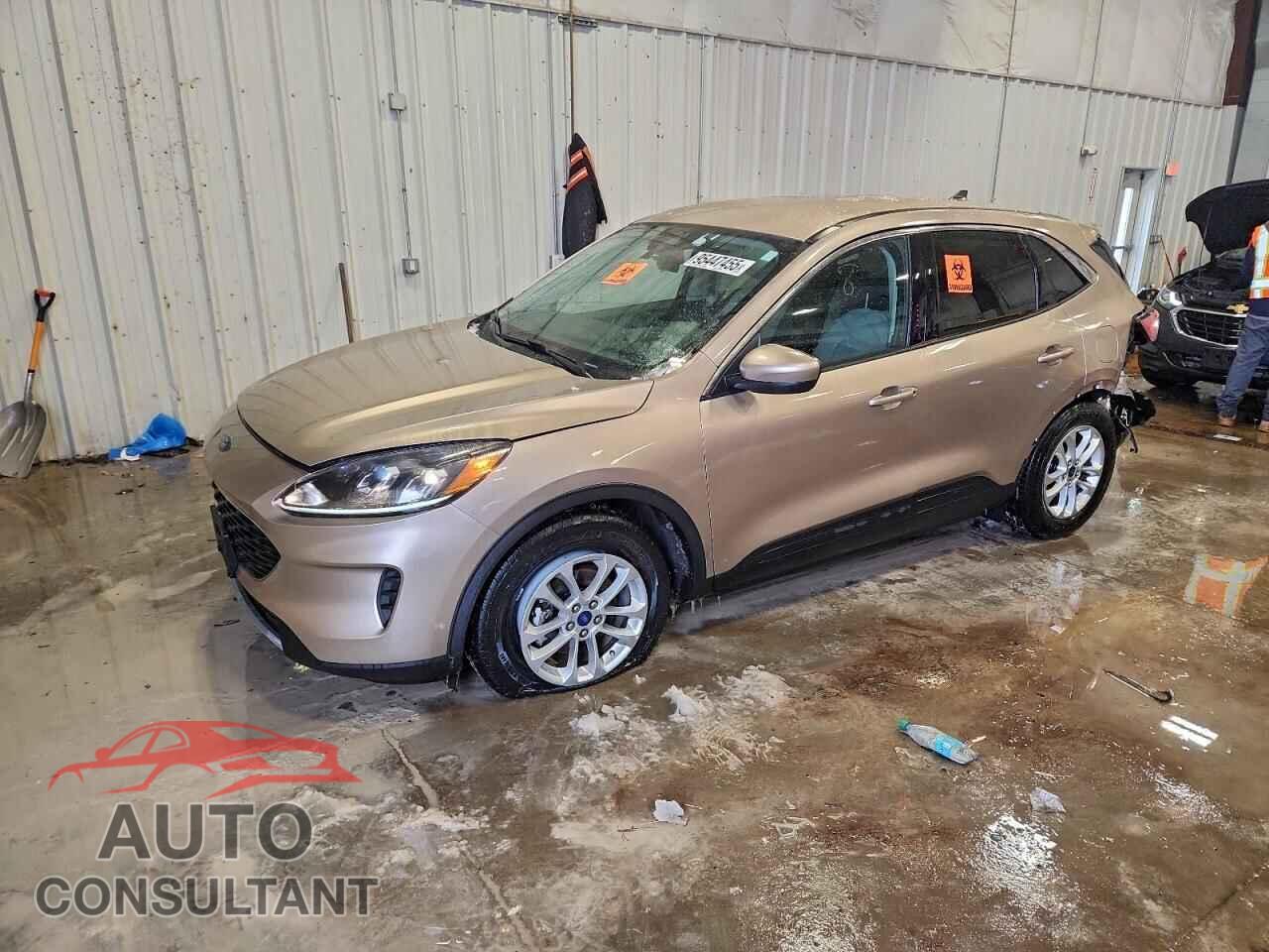 FORD ESCAPE 2020 - 1FMCU0G68LUA96576
