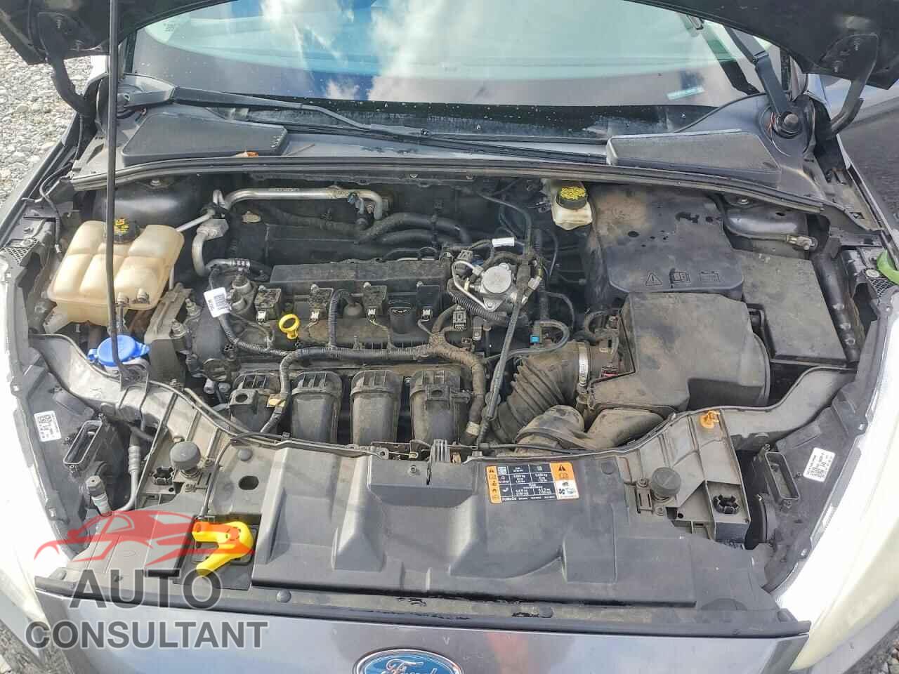 FORD FOCUS 2017 - 1FADP3E25HL308502