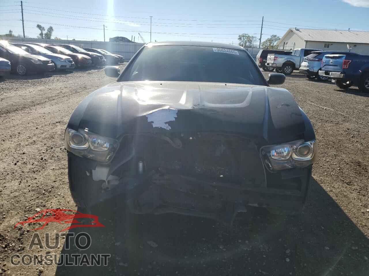 DODGE CHARGER 2014 - 2C3CDXDTXEH184692