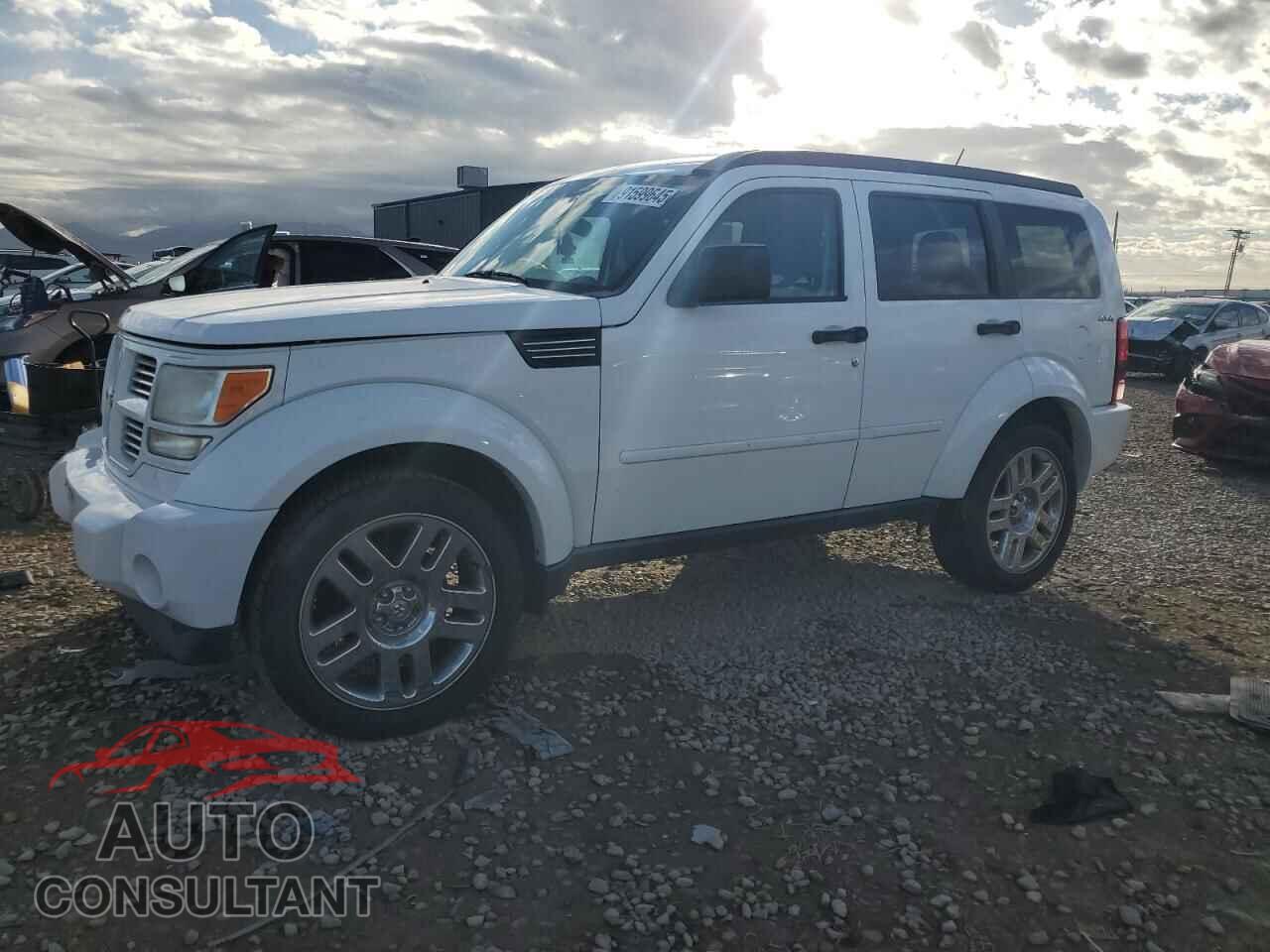 DODGE NITRO 2011 - 1D4PU4GK9BW605820