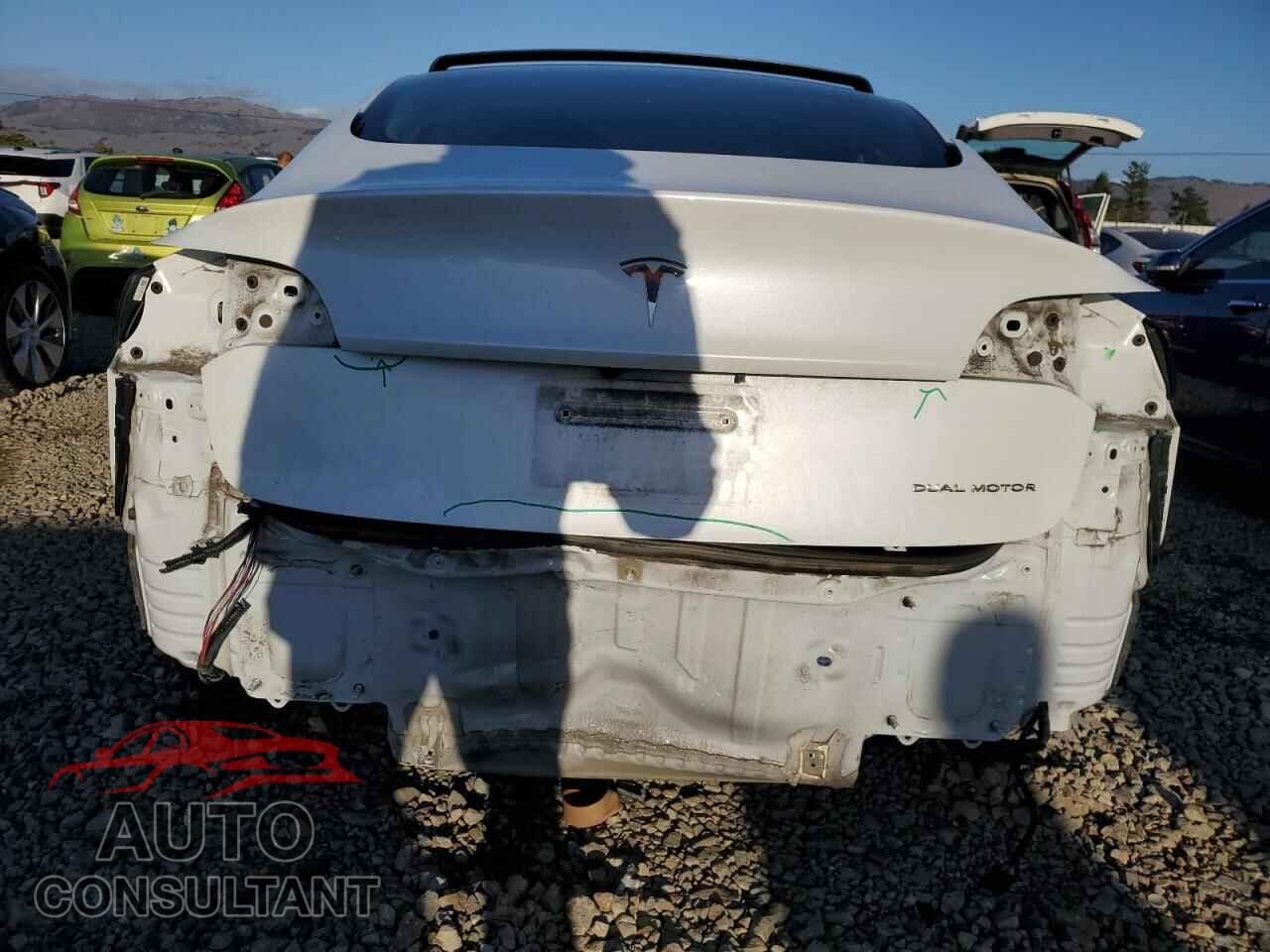TESLA MODEL 3 2021 - 5YJ3E1EB6MF876142