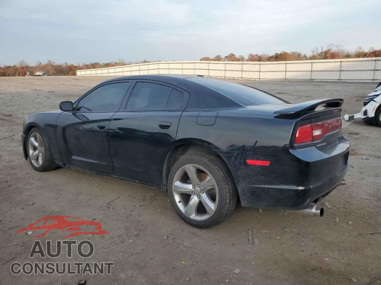 DODGE CHARGER 2013 - 2C3CDXCT5DH582957
