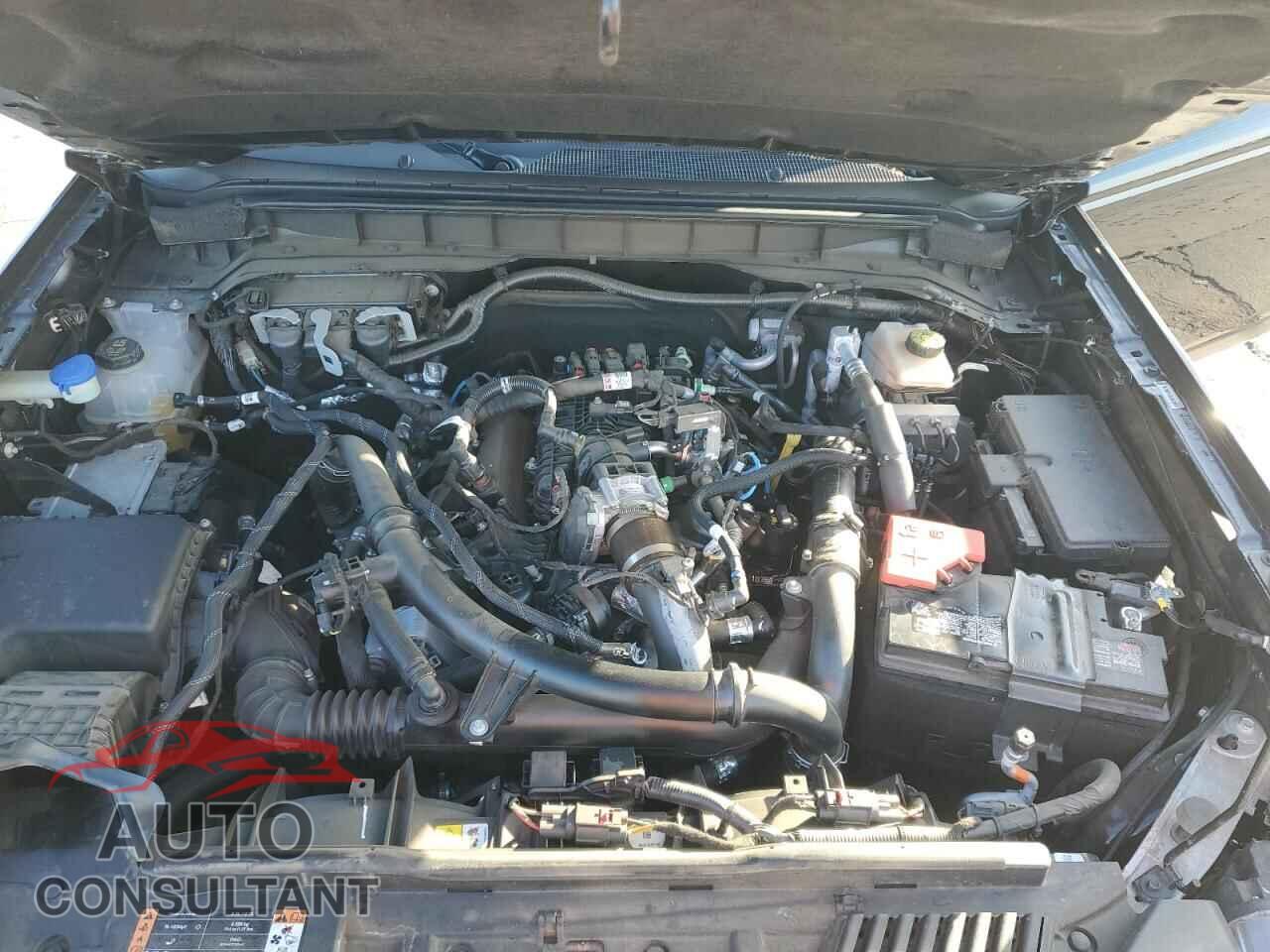 FORD BRONCO 2023 - 1FMEE5DP0PLA86782