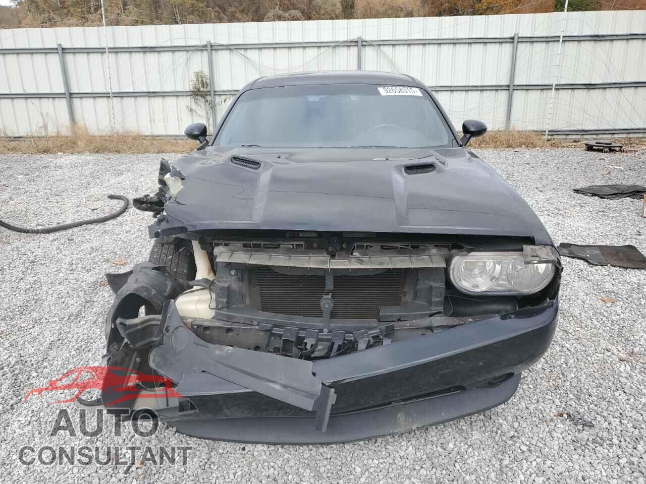 DODGE CHALLENGER 2014 - 2C3CDYAG4EH313166