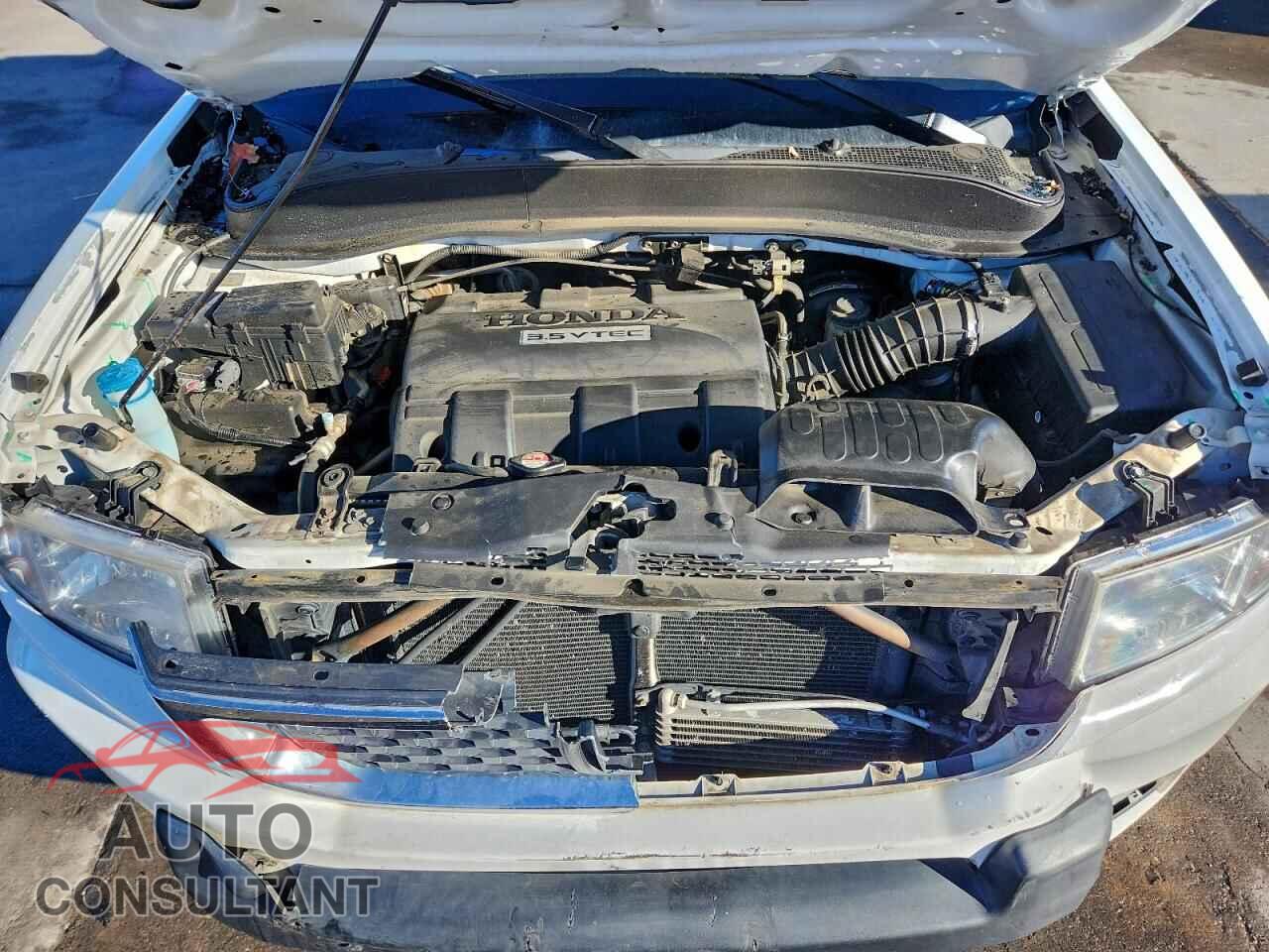 HONDA RIDGELINE 2014 - 5FPYK1F54EB003425