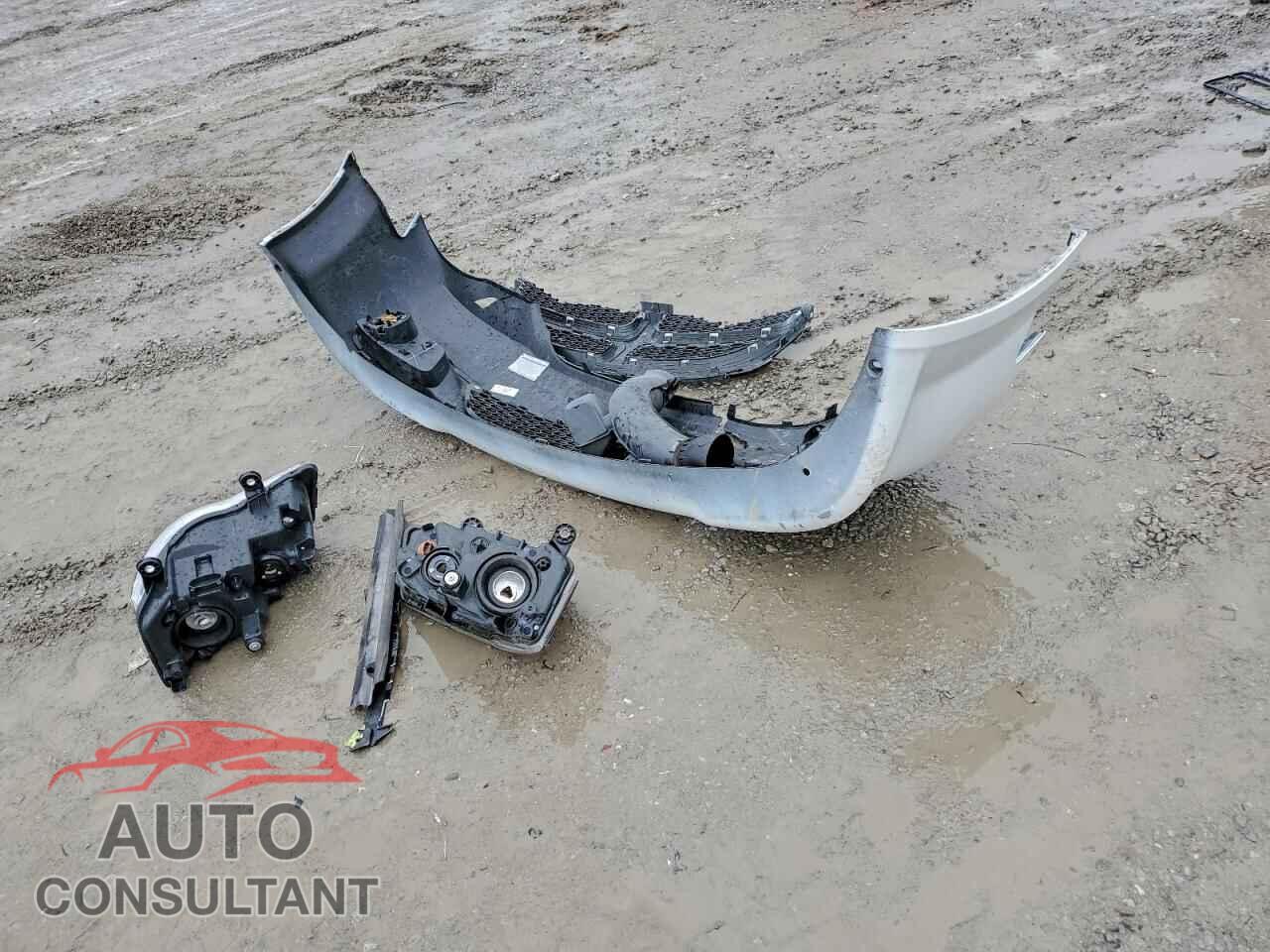 DODGE CARAVAN 2019 - 2C4RDGEG0KR529340