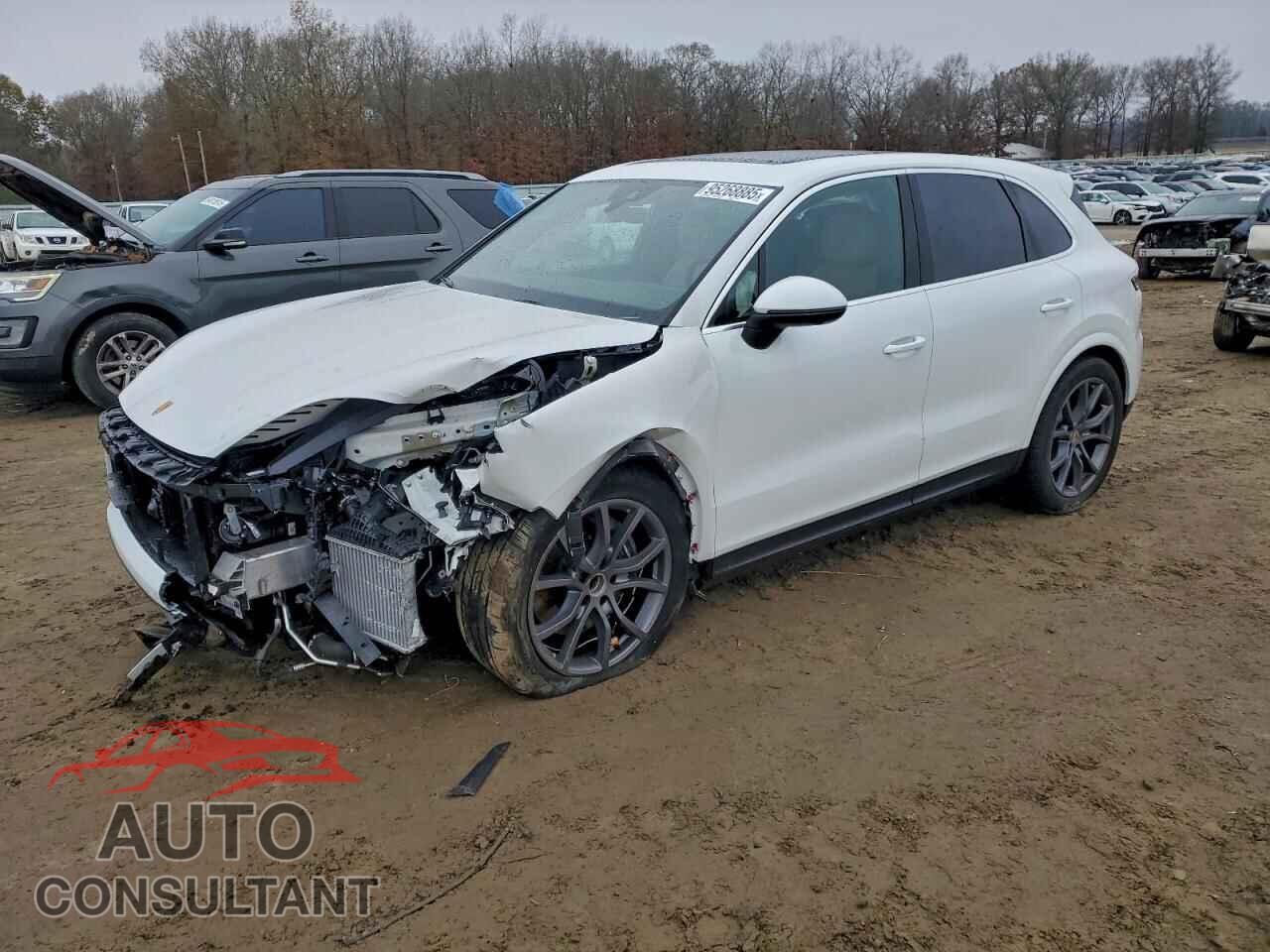 PORSCHE CAYENNE 2024 - WP1AA2AY9RDA14324