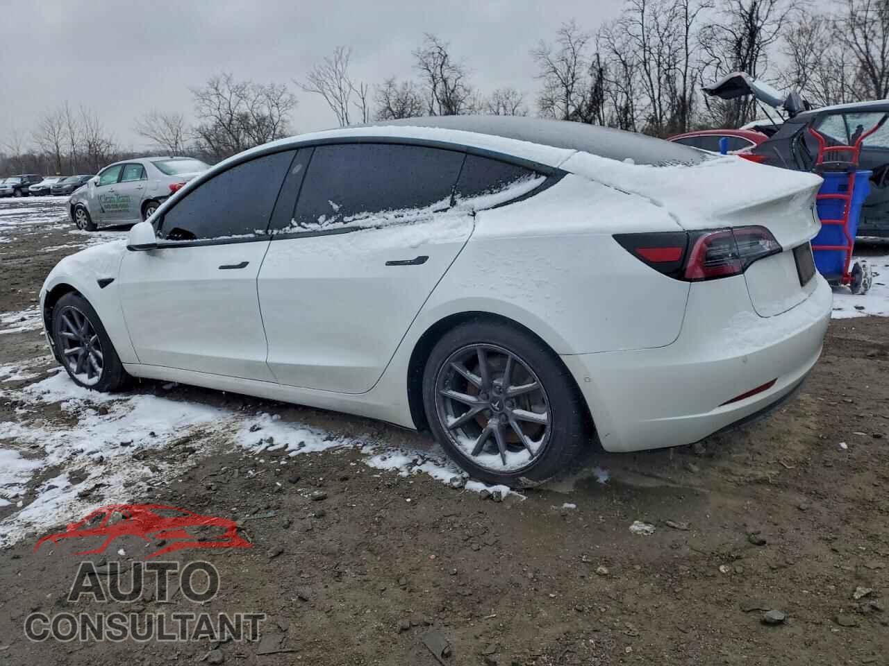 TESLA MODEL 3 2021 - 5YJ3E1EA2MF919799