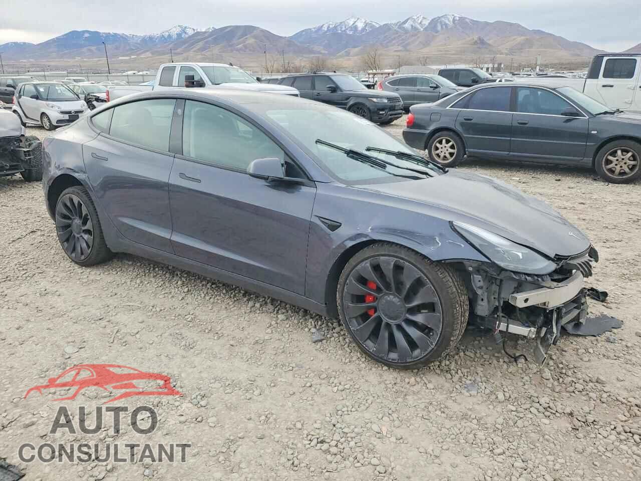 TESLA MODEL 3 2023 - 5YJ3E1EC2PF503497