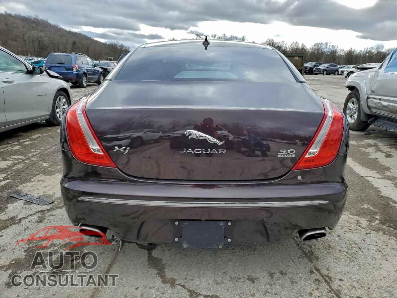 JAGUAR XJ 2014 - SAJWJ1CD4E8V63445