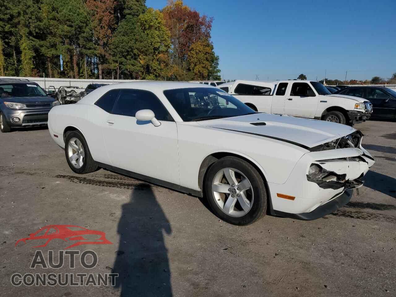 DODGE CHALLENGER 2013 - 2C3CDYAG6DH676695