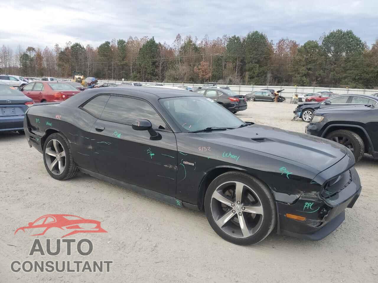 DODGE CHALLENGER 2014 - 2C3CDYAG7EH310858