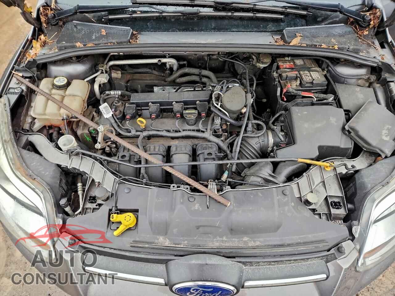 FORD FOCUS 2013 - 1FADP3F24DL281155