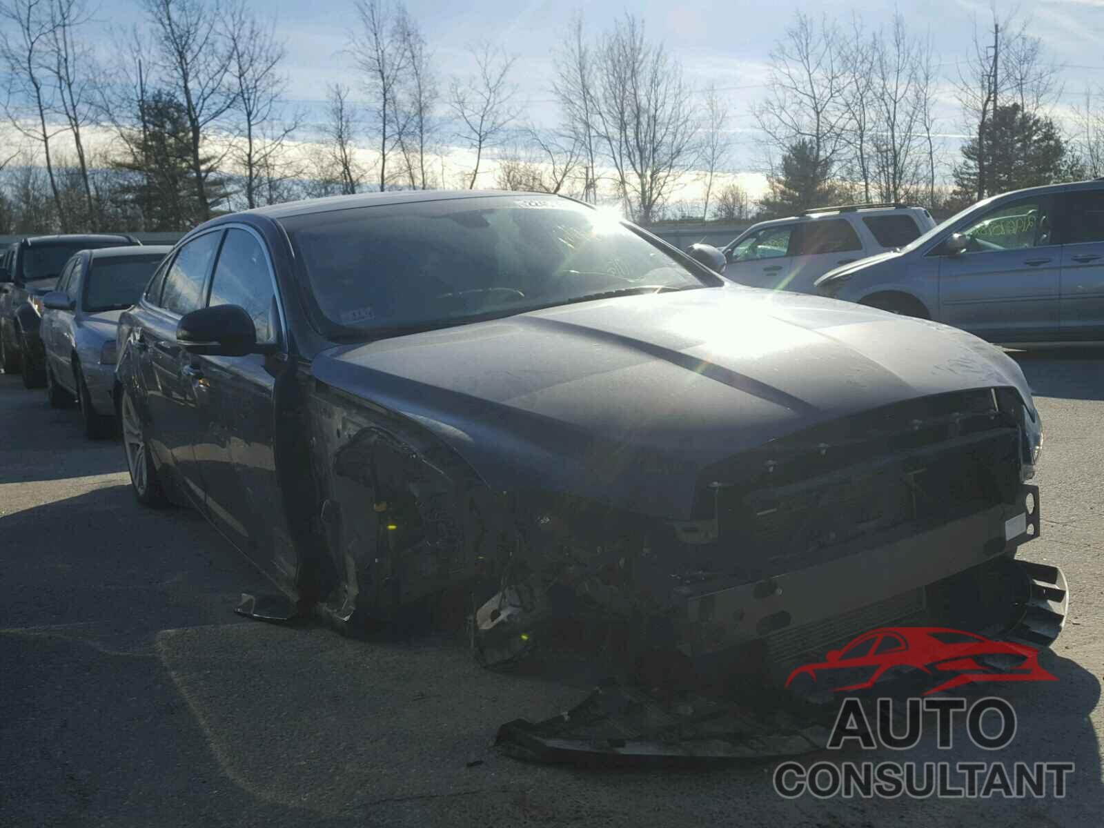 JAGUAR XJ 2016 - SAJWJ2GD3G8V96780