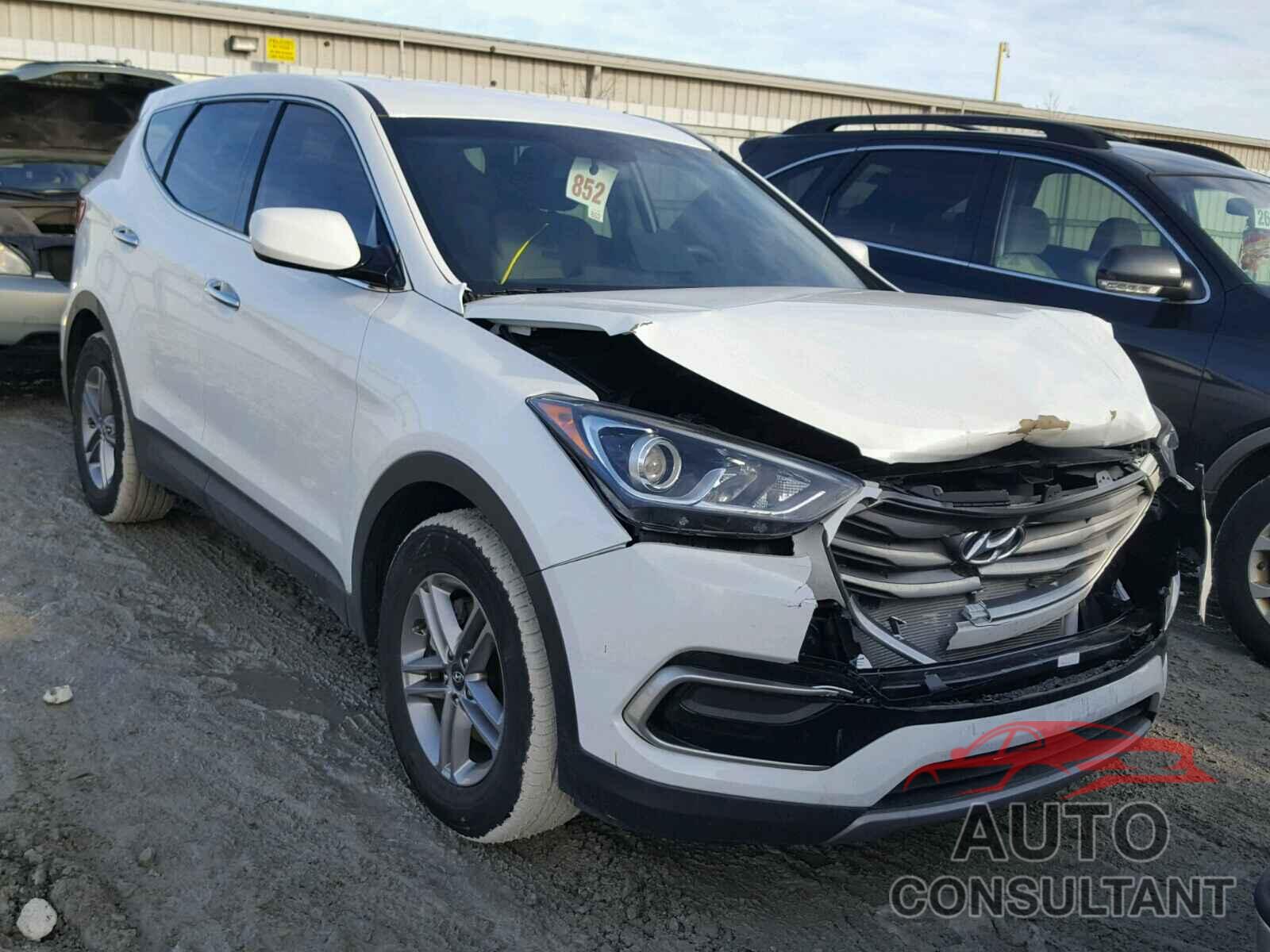 HYUNDAI SANTA FE 2017 - 5NMZTDLB3HH024663