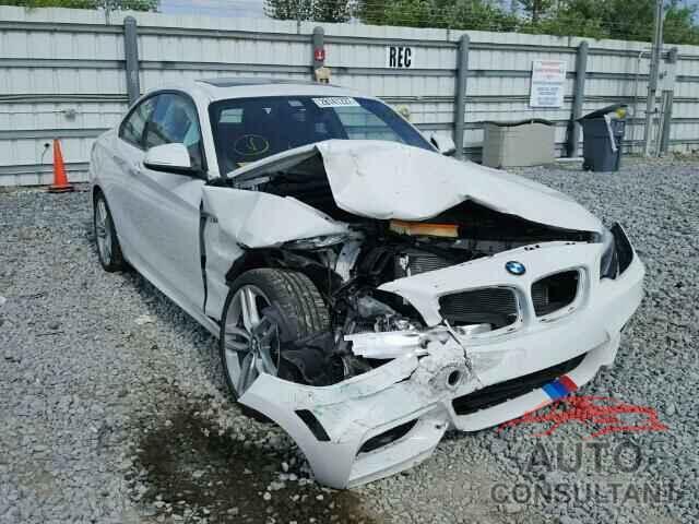 BMW 2 SERIES 2016 - WBA1F9C5XGV545647