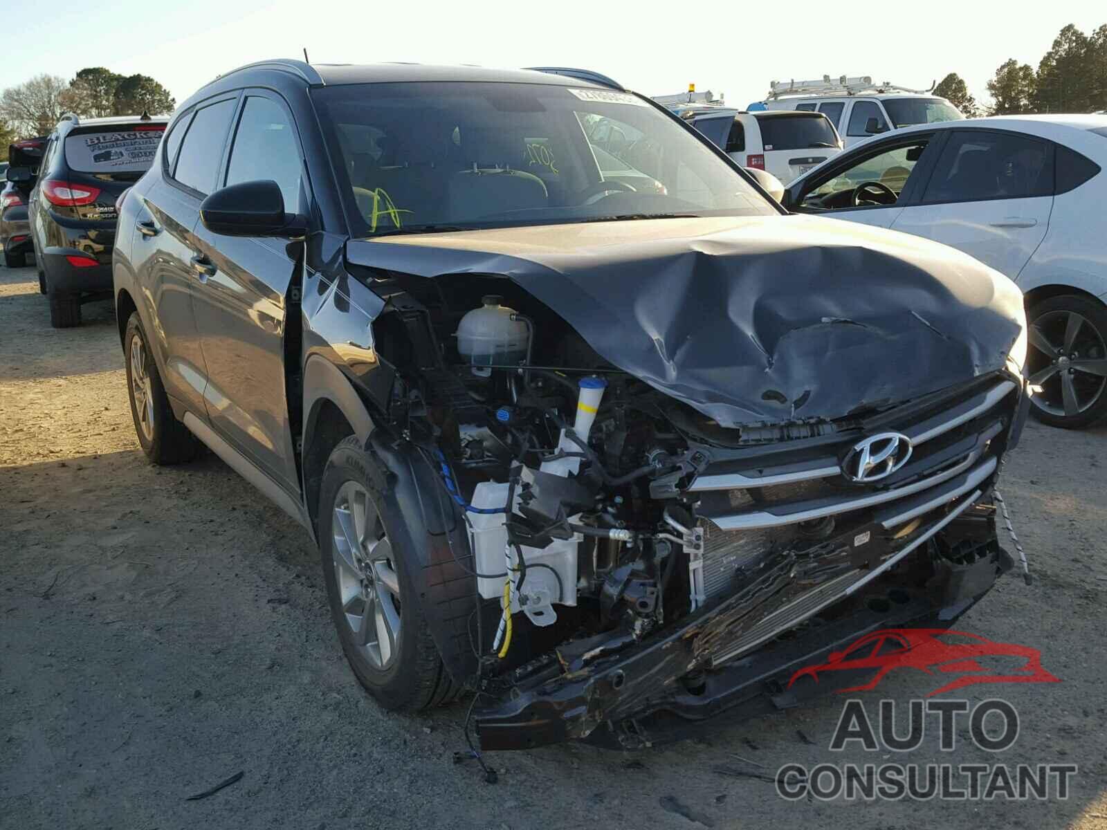 HYUNDAI TUCSON 2017 - KM8J33A48HU492386
