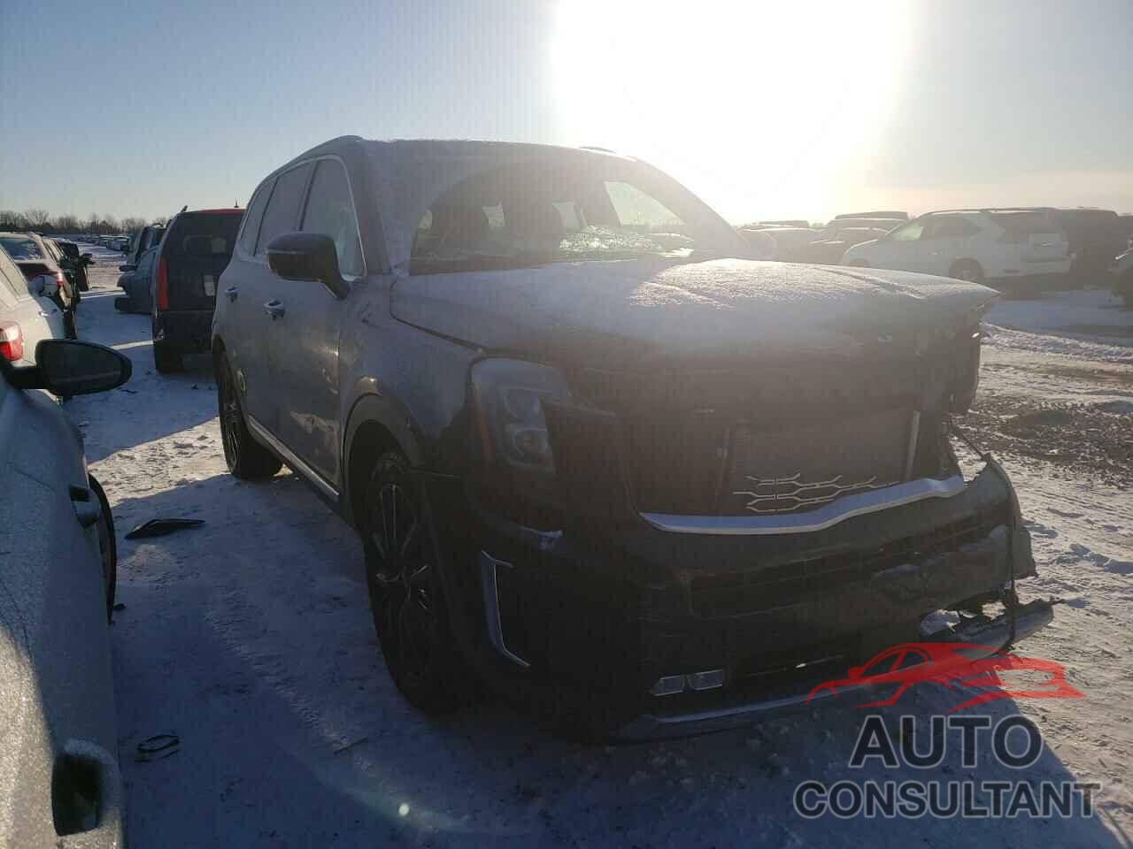 KIA TELLURIDE 2020 - 5XYP5DHC0LG028627