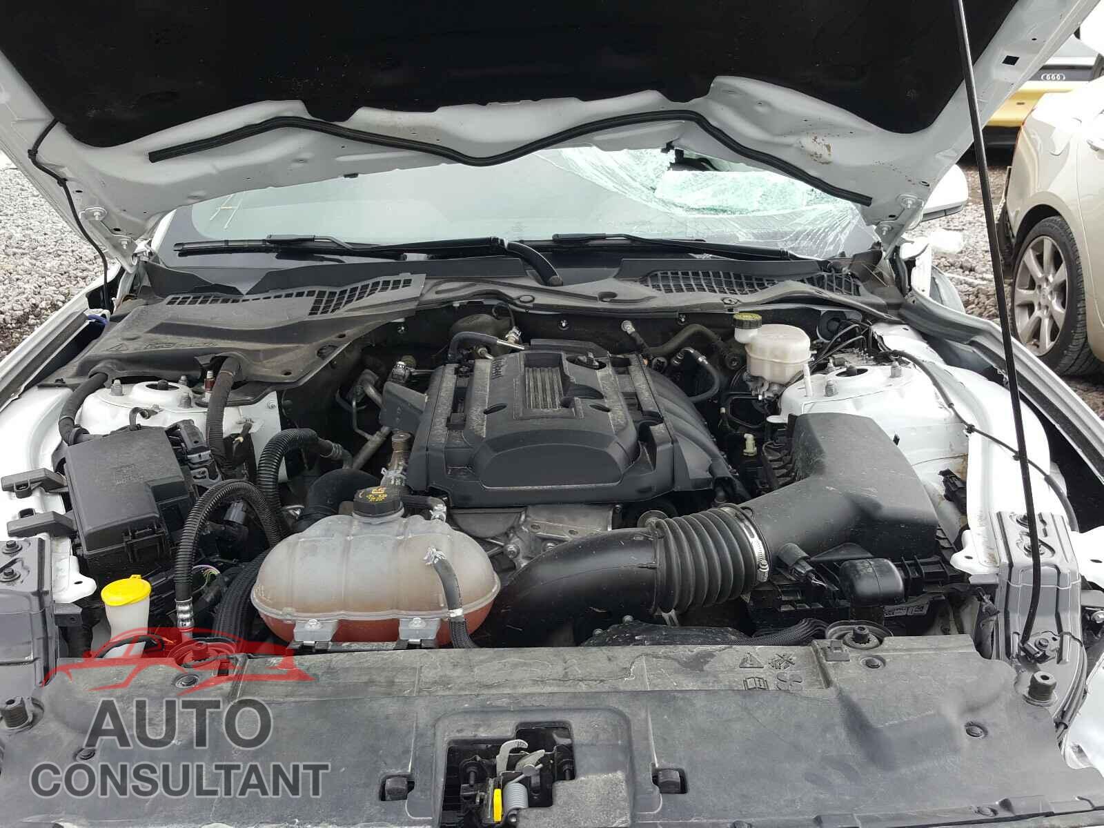 FORD MUSTANG 2019 - 1FA6P8TH0K5191484