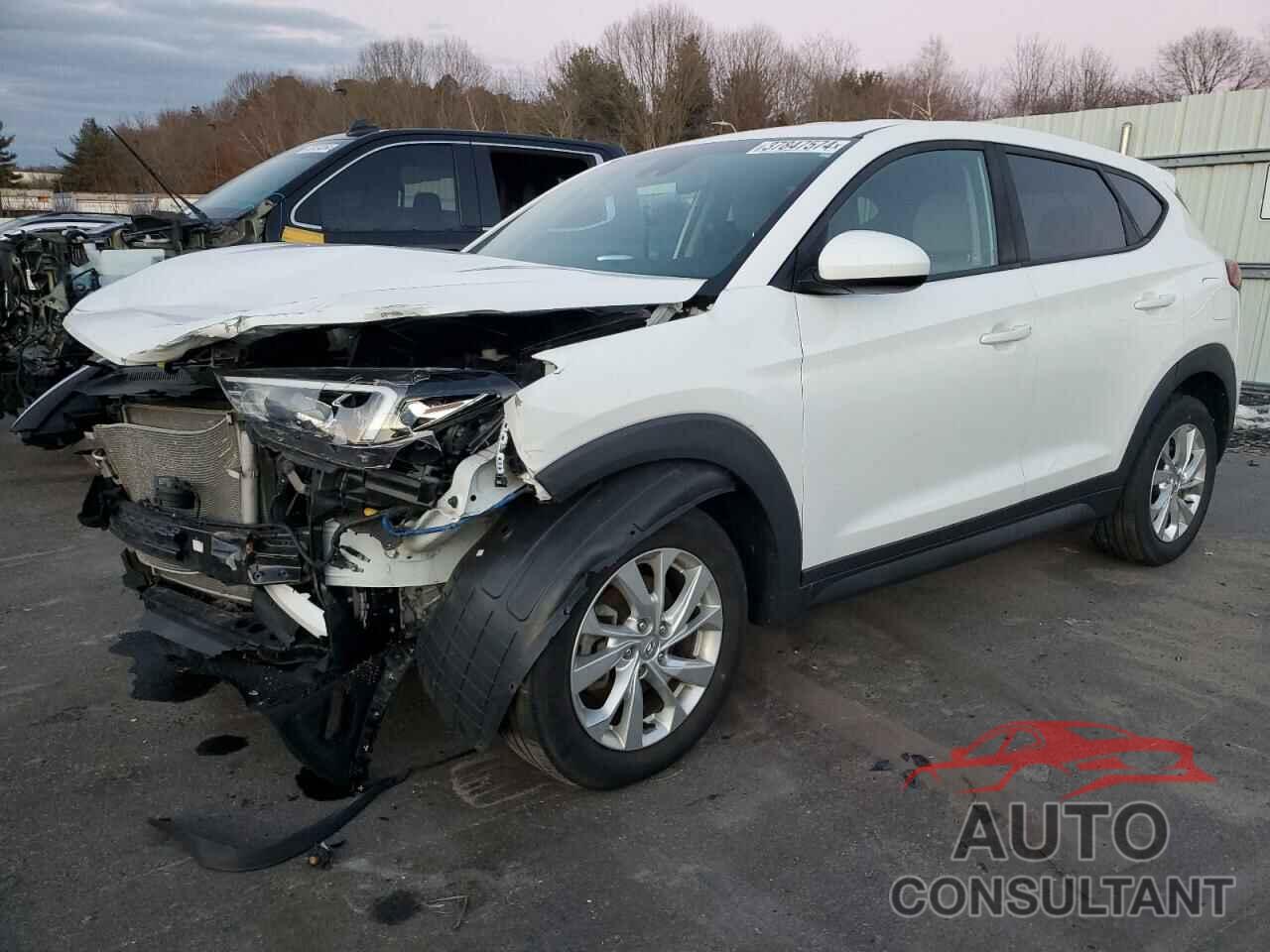 HYUNDAI TUCSON 2019 - KM8J2CA46KU042522