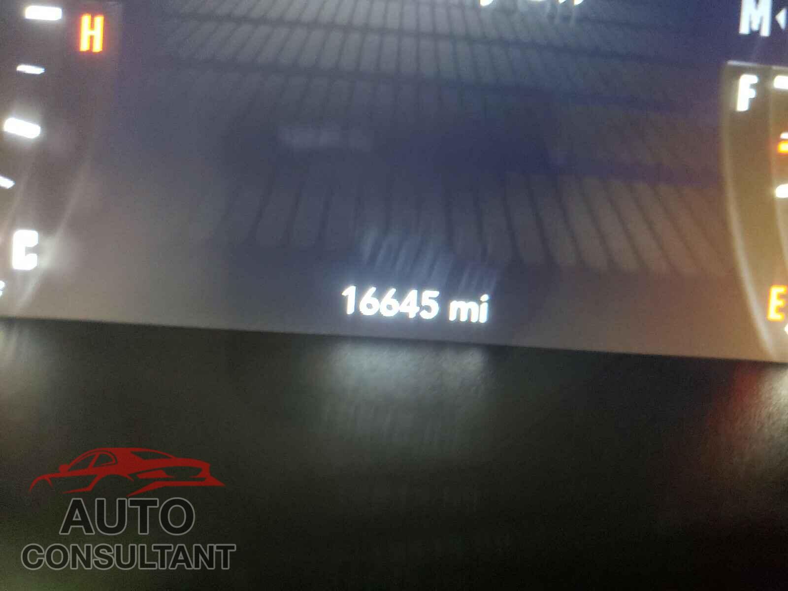 DODGE CHALLENGER 2019 - 2C3CDZBT6KH573923