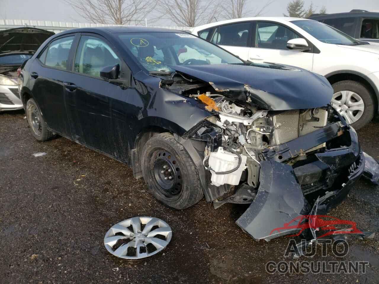 TOYOTA COROLLA 2016 - 2T1BURHE8GC622752