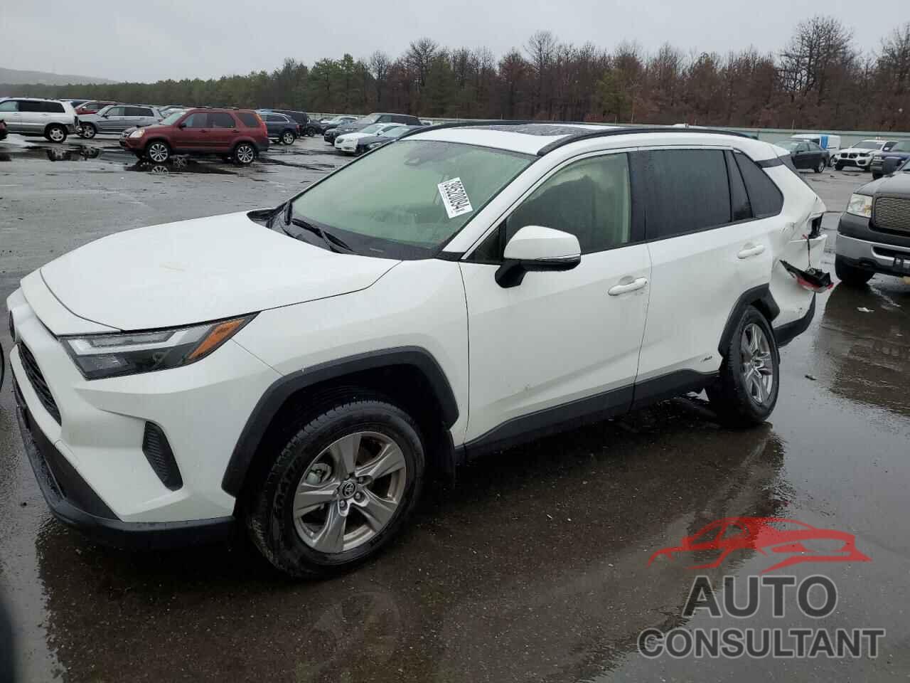 TOYOTA RAV4 2023 - JTMRWRFV1PD208114