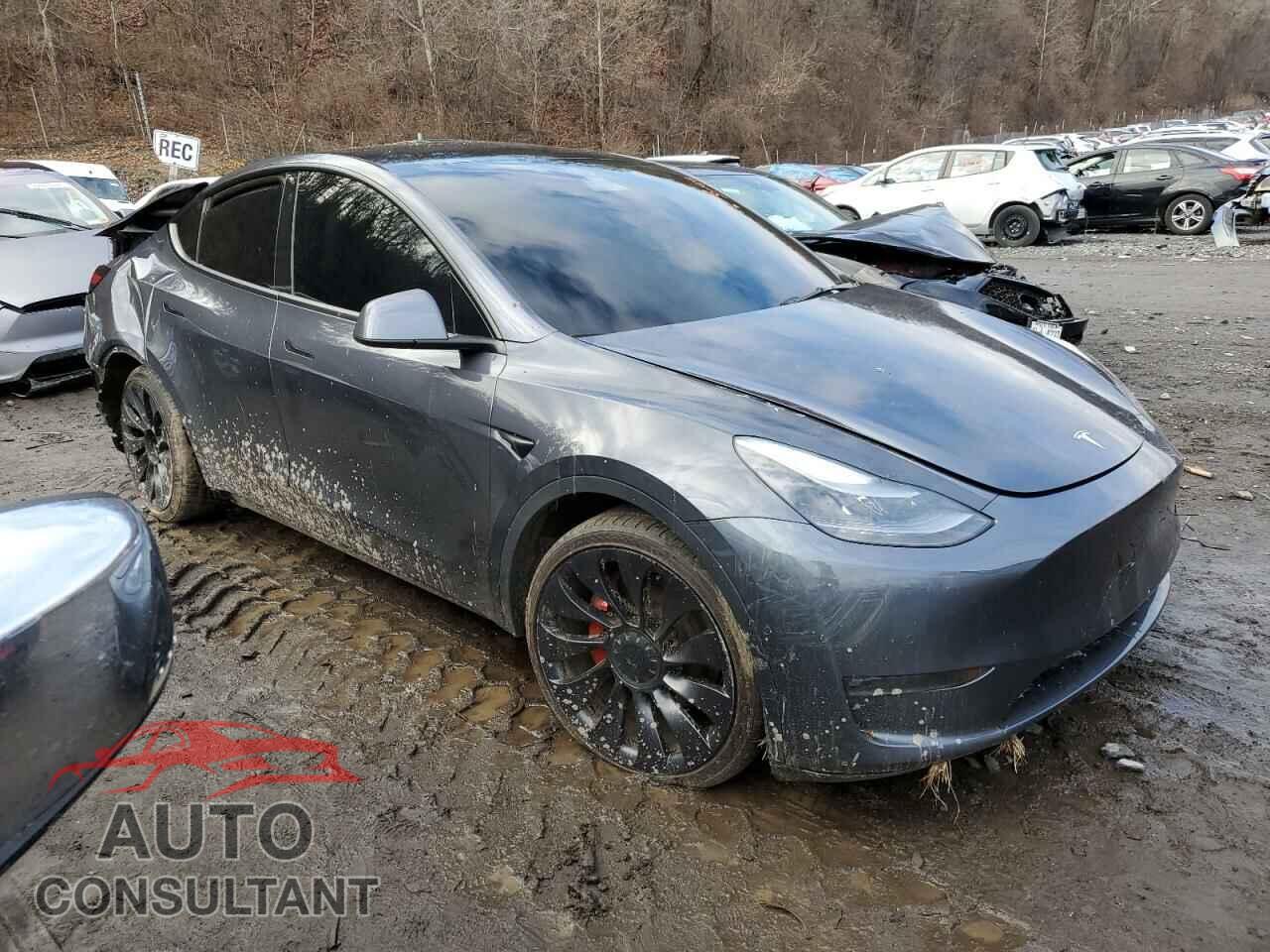 TESLA MODEL Y 2022 - 7SAYGDEF2NF379744