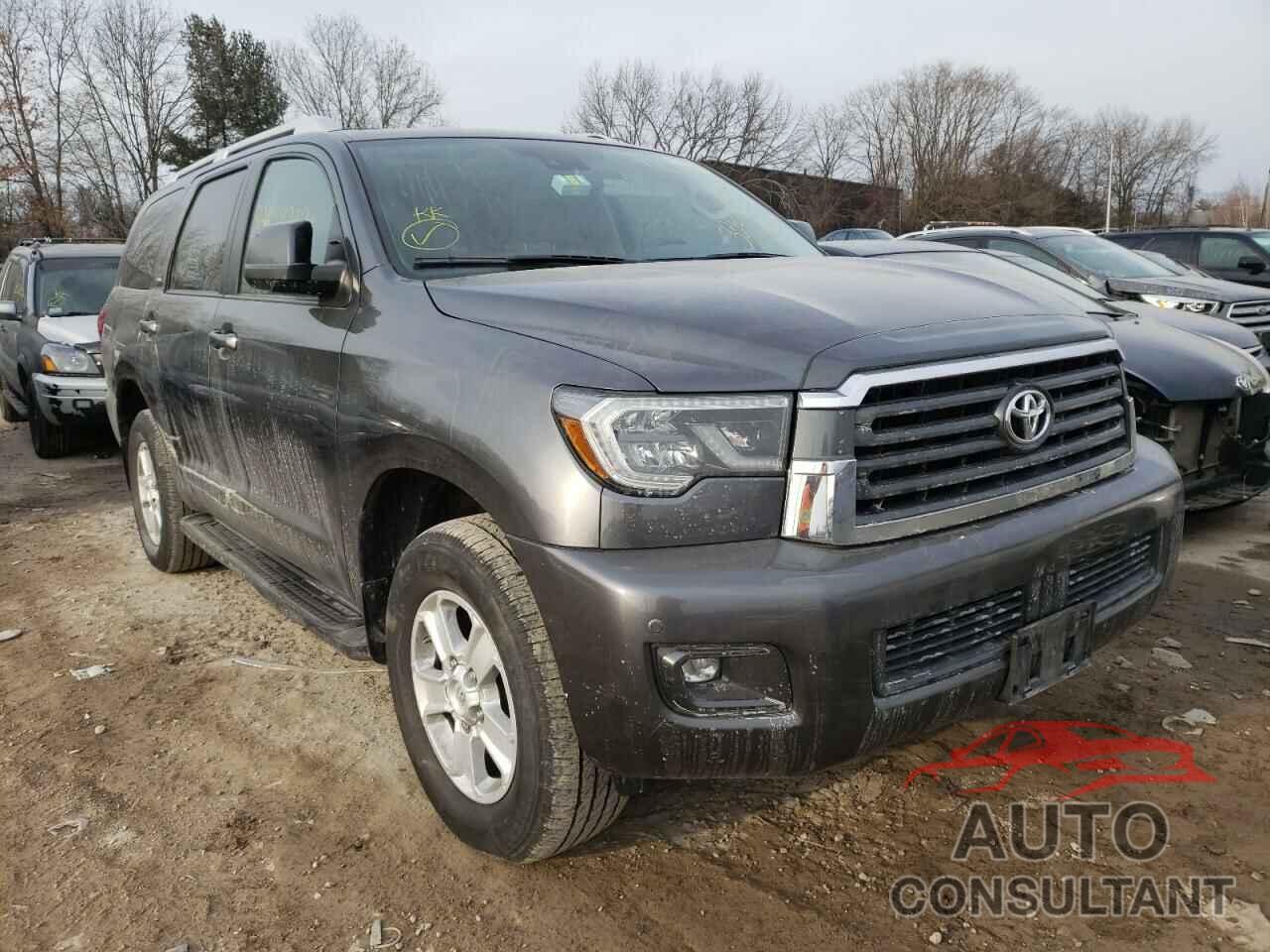 TOYOTA SEQUOIA 2019 - 5TDBY5G16KS169663