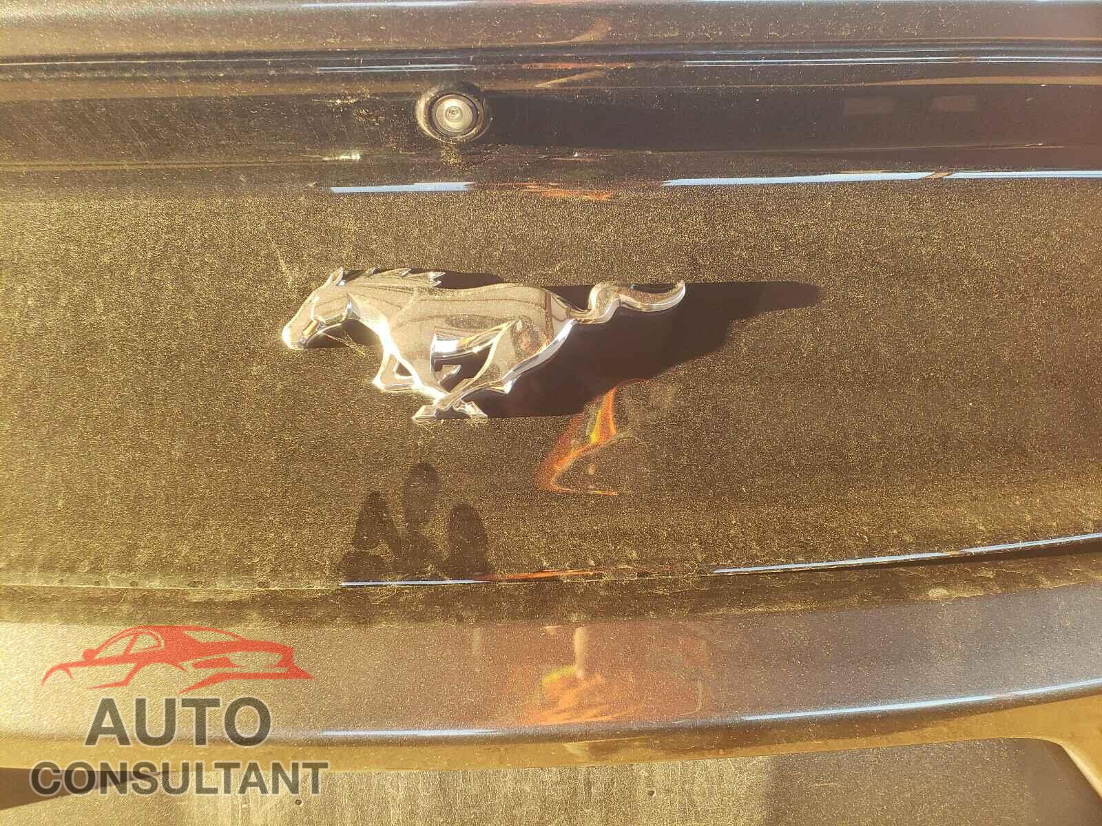 FORD MUSTANG 2017 - 1FA6P8TH9H5259175
