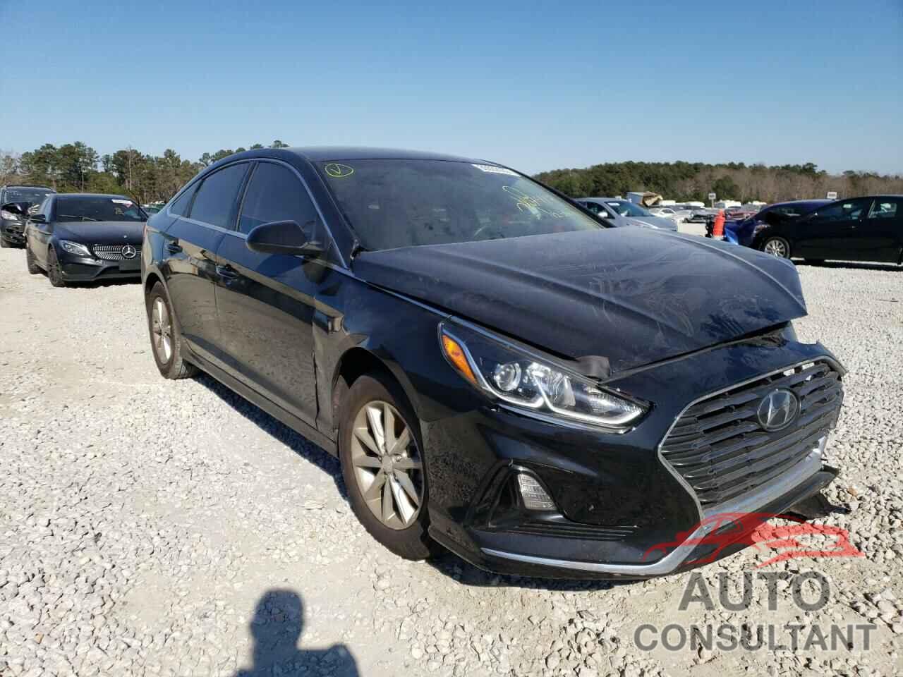 HYUNDAI SONATA 2019 - 5NPE24AFXKH817413