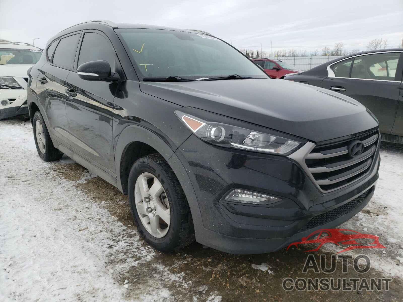 HYUNDAI TUCSON 2016 - KM8J3CA40GU111290