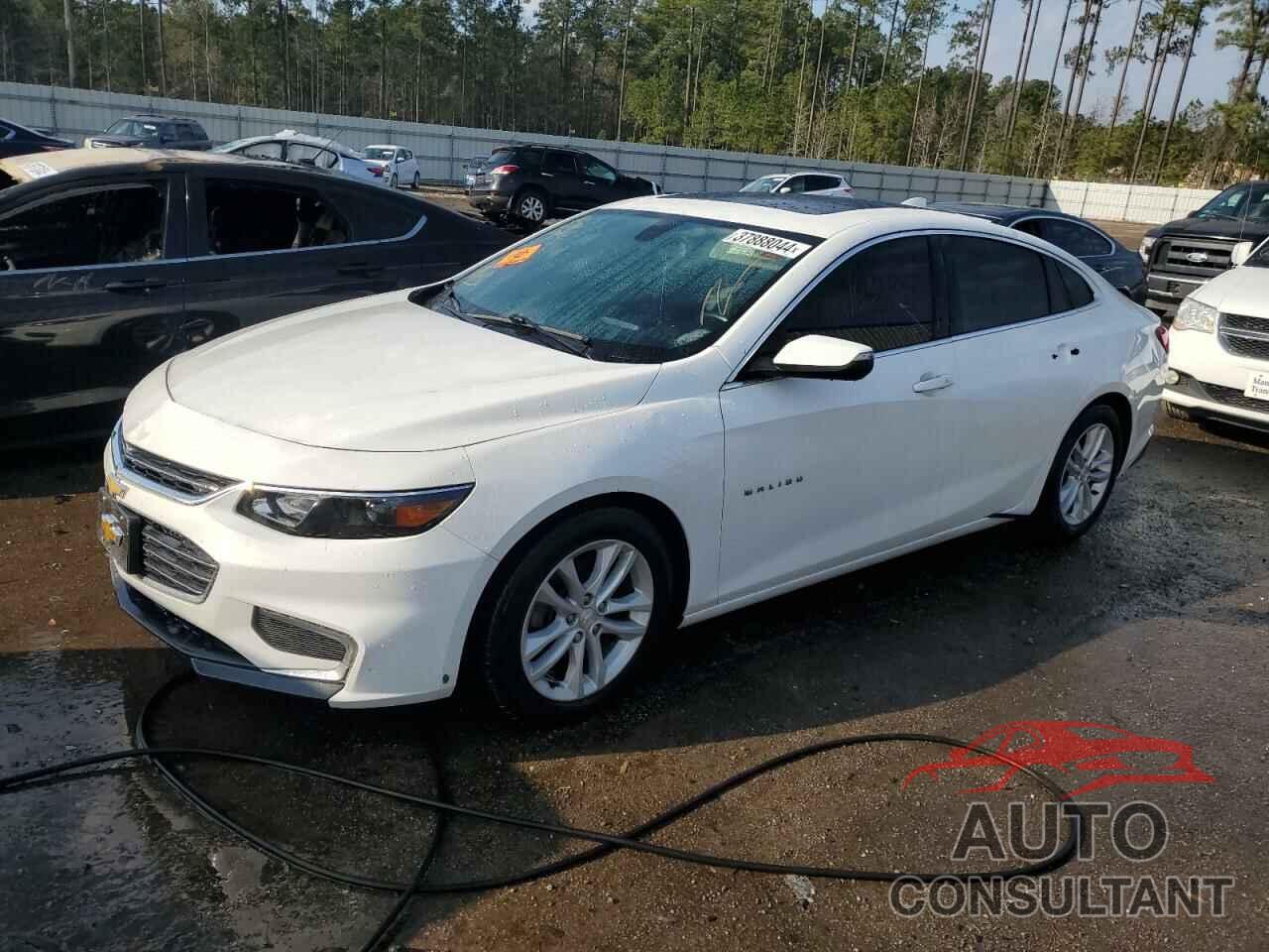 CHEVROLET MALIBU 2016 - 1G1ZE5ST5GF169797