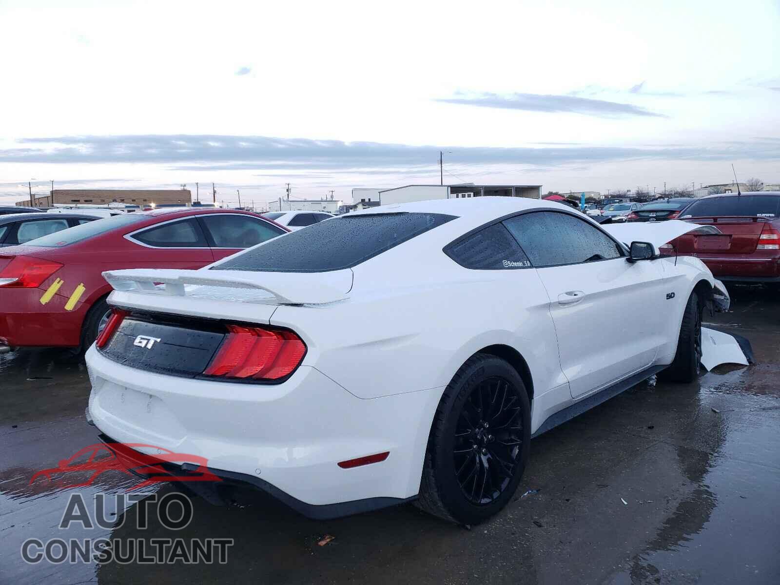 FORD MUSTANG 2019 - 1FA6P8CF3K5134002